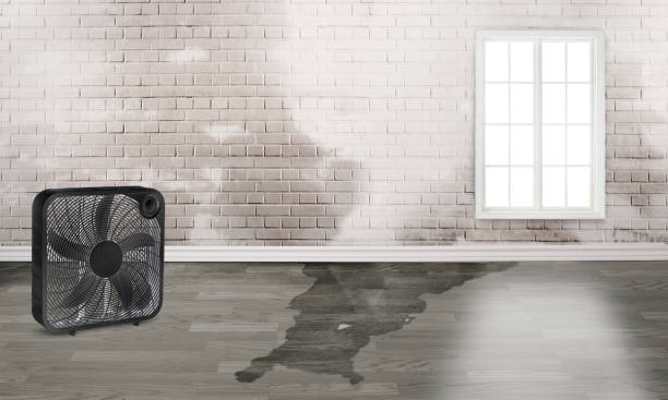 Professional Water damage restoration in Courtland, VA