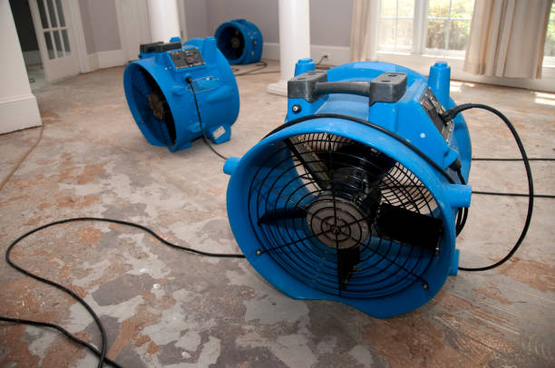 Best Water damage restoration near me  in Courtland, VA