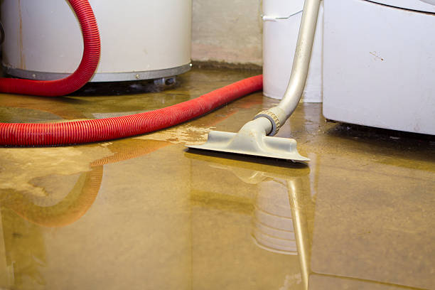 Sewage cleanup and water damage restoration in Courtland, VA