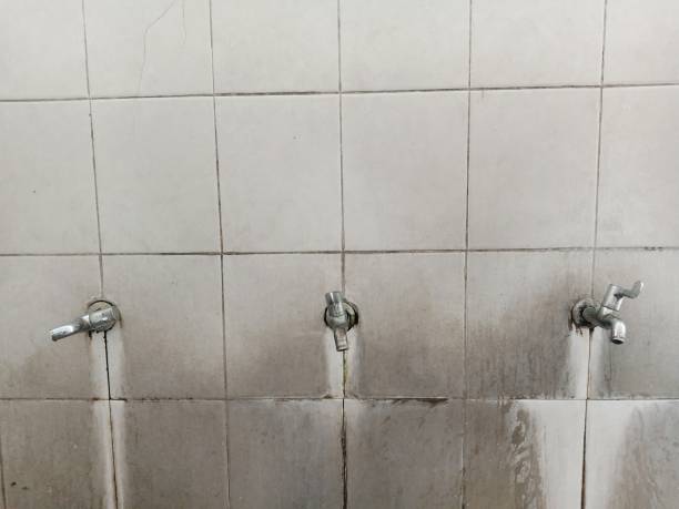 Best Fire Damage Restoration  in Courtland, VA
