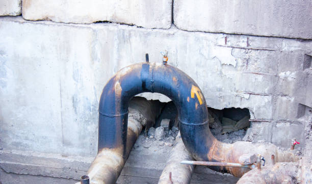 Best Commercial water damage restoration  in Courtland, VA