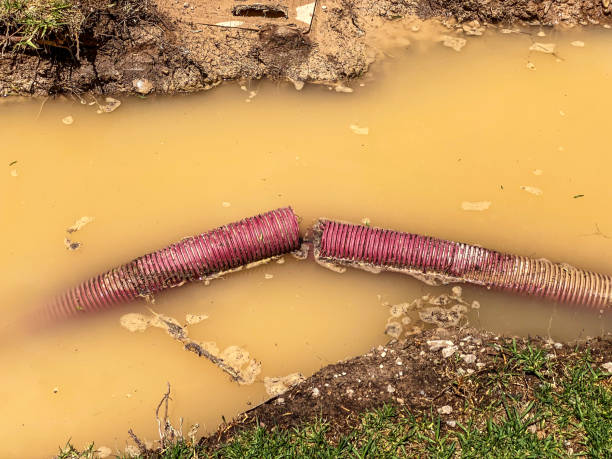 Best Sewage cleanup and water damage restoration  in Courtland, VA