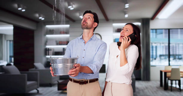 Local water damage restoration in Courtland, VA